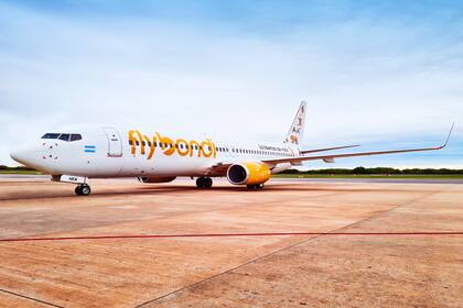 Flybondi suspende vuelos y deja en tierra dos aviones: denuncia problemas con los pagos al exterior