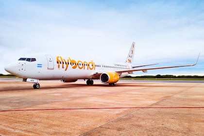 Flybondi suspende vuelos y deja en tierra dos aviones: denuncia problemas con los pagos al exterior