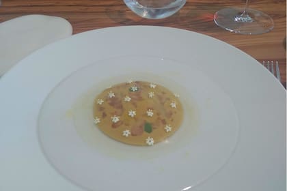 Foie gras de la "Maison Mitteault"
