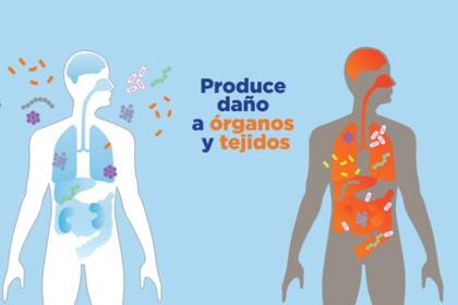 Folleto explicativo de la OMS sobre la sepsis, una afección que puede ser mortal si no se trata rápida y eficazmente