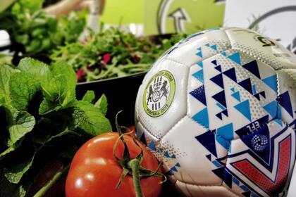 Forest Green Rovers es el primer club vegano del mundo y el más sustentable según la FIFA