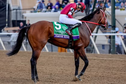 Forever Young, el caballo japonés que lleva 10 triunfos en 13 carreras y rinde tributo a los fanáticos dentro de la pista