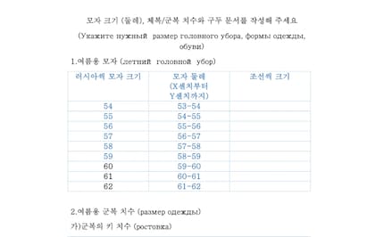 Formulario ruso entregado a los soldados norcoreanos
