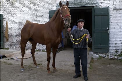 Forty Mirage en el stud, junto al entrenador que más tiempo lo tuvo: Federico Aranaga