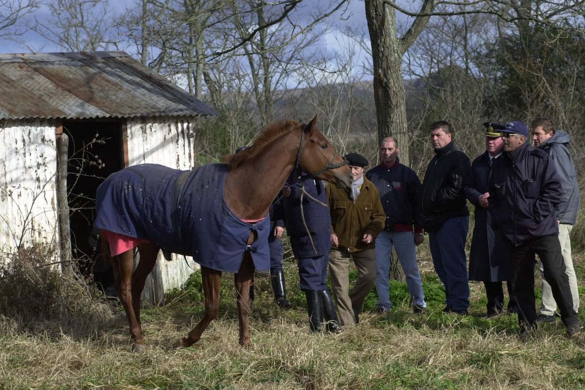 Forty Mirage fue encontrado por dos suboficiales dentro de una casilla de chapa en un predio del Ejército