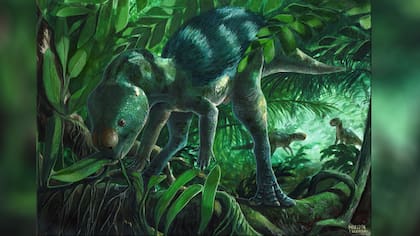 Foskeia pelendonum, nueva especie de dinosaurio herbívoro que vivió hace unos 125 millones de años. Ilustración: Martina Charnelli.