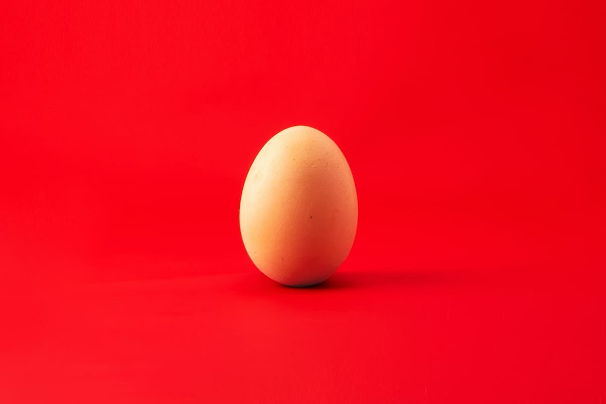 Foto: Revolt/Unsplash