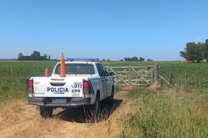 Le robaron 52 terneros valuados en unos US$50.000 y hay un dato que no logra explicar