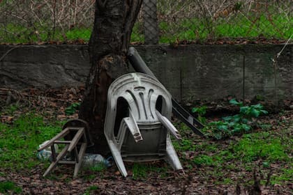 (Foto Pexels)