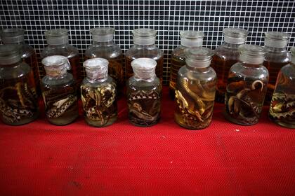 Foto de archivo de 2013 que muestra serpientes conservadas en un frasco, en la aldea de Zisiqiao, en Zhejiang, China
