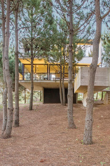 Se eleva en el bosque: La casa de hormigón que sorprende entre los pinares de Costa Esmeralda