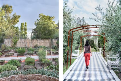 Foto de la izquierda: La huerta va cambiando a medida que transcurren las estaciones con los diferentes cultivos, por eso visitarla siempre es una sorpresa. Foto de la derecha: Los olivos a ambos lados de la pérgola demuestran su valor decorativo.