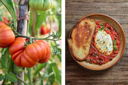 Foto de la izquierda: los tomates 'Costoluto Fiorentino' son de los más fotografiados por los visitantes por su forma y tamaño. Foto de la derecha: un plato que forma parte del menú y que lleva ingredientes de la huerta "Tomaticán".