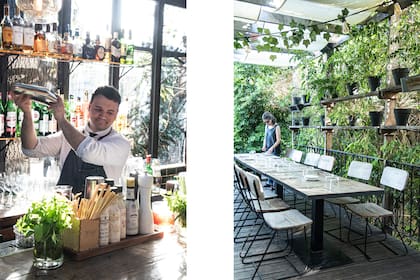 Foto de la izquierda:Las plantas y aromáticas cumplen los requerimientos del lugar y de la cocina.
Foto de la derecha: En las macetas sobre los estantes, que hacen de límite virtual, se plantaron muehlenbeckias.