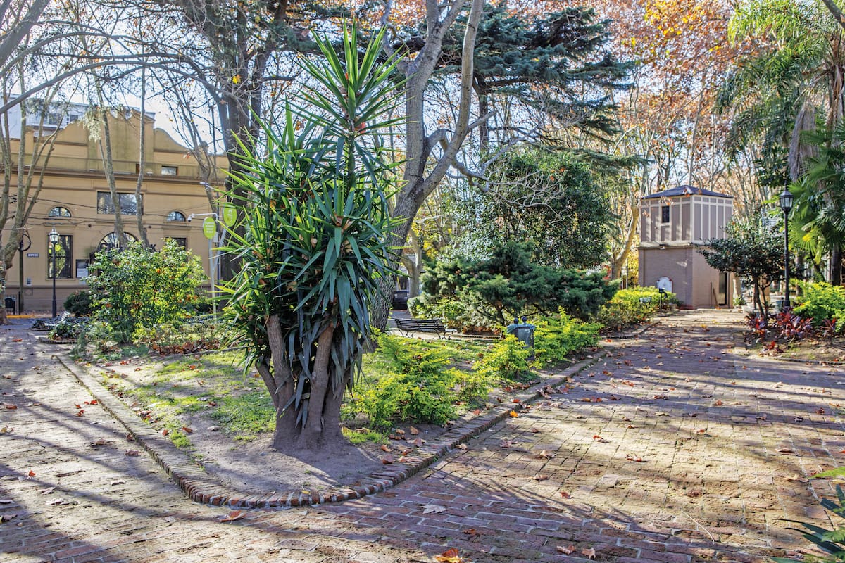 Foto de la preciosa plaza González del Solar.