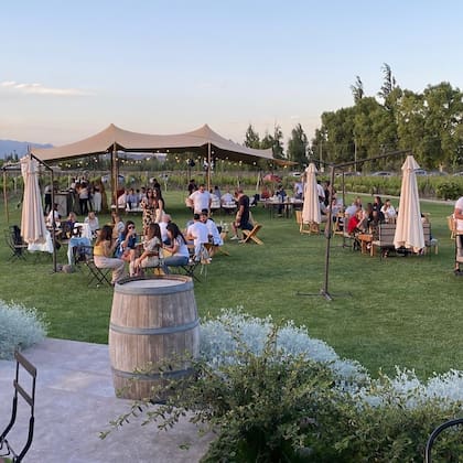 Los jardines de Viamonte Winery, ideales para almuerzos y atardeceres al aire libre.