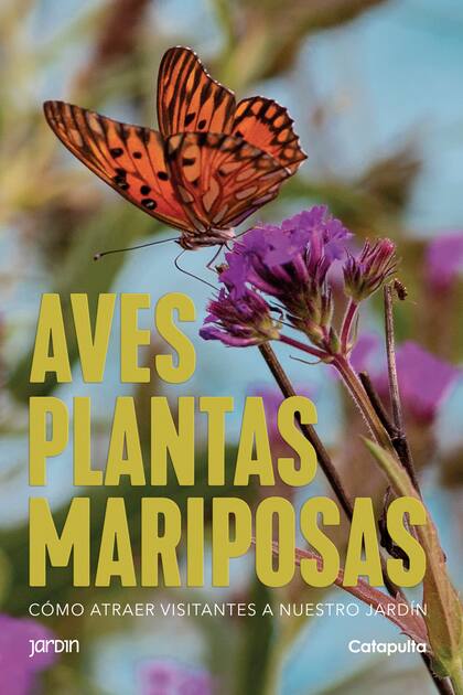 Foto de tapa de Alejandra Rebagliati.