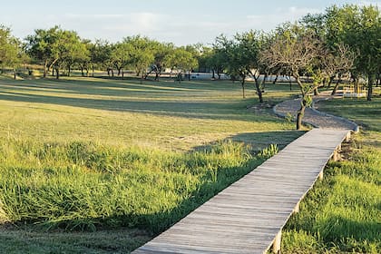 Un camino de madera se despliega para disfrutar del campo.