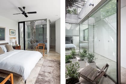 Los patios internos son vitrinas que exhiben las joyas de la casa: las palmeras y la araucaria. Además, desde uno de ellos se accede a la terraza verde. Cama (Federico Churba). El ventilador se compró en negro, del mismo color que las aberturas de aluminio.