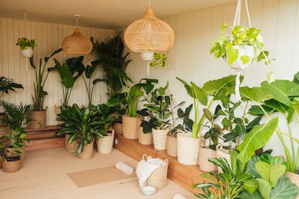 El verde junto a la madera y las fibras naturales son un match perfecto para crear ambientes serenos.