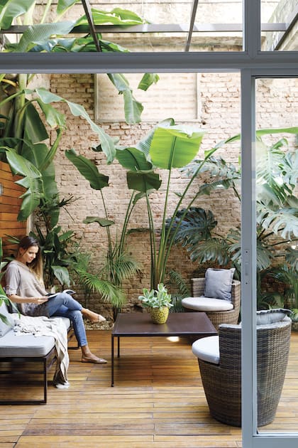 Mil ideas para copiar: En Vicente López, una planta baja de 65m2 ganó confort y un patio envidiable 