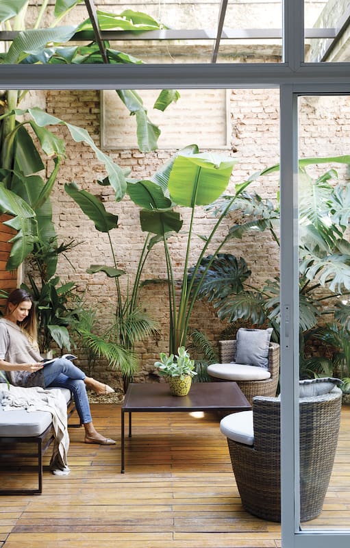Mil ideas para copiar: En Vicente López, una planta baja de 65m2 ganó confort y un patio envidiable