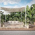 Expertos en jardinería explican por qué una planta deja de crecer