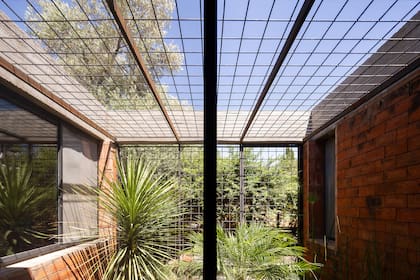 La reja de seguridad que vemos en este patio tropical, con palmeras y papiros, consiste en malla sima abierta de 15x15cm que, al estar en posición horizontal, no significa una interrupción visual para apreciar el paisaje o el cielo.