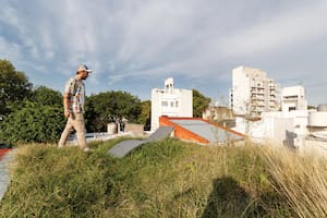 Foto de un techo verde en un Ph reformado de Paternal.