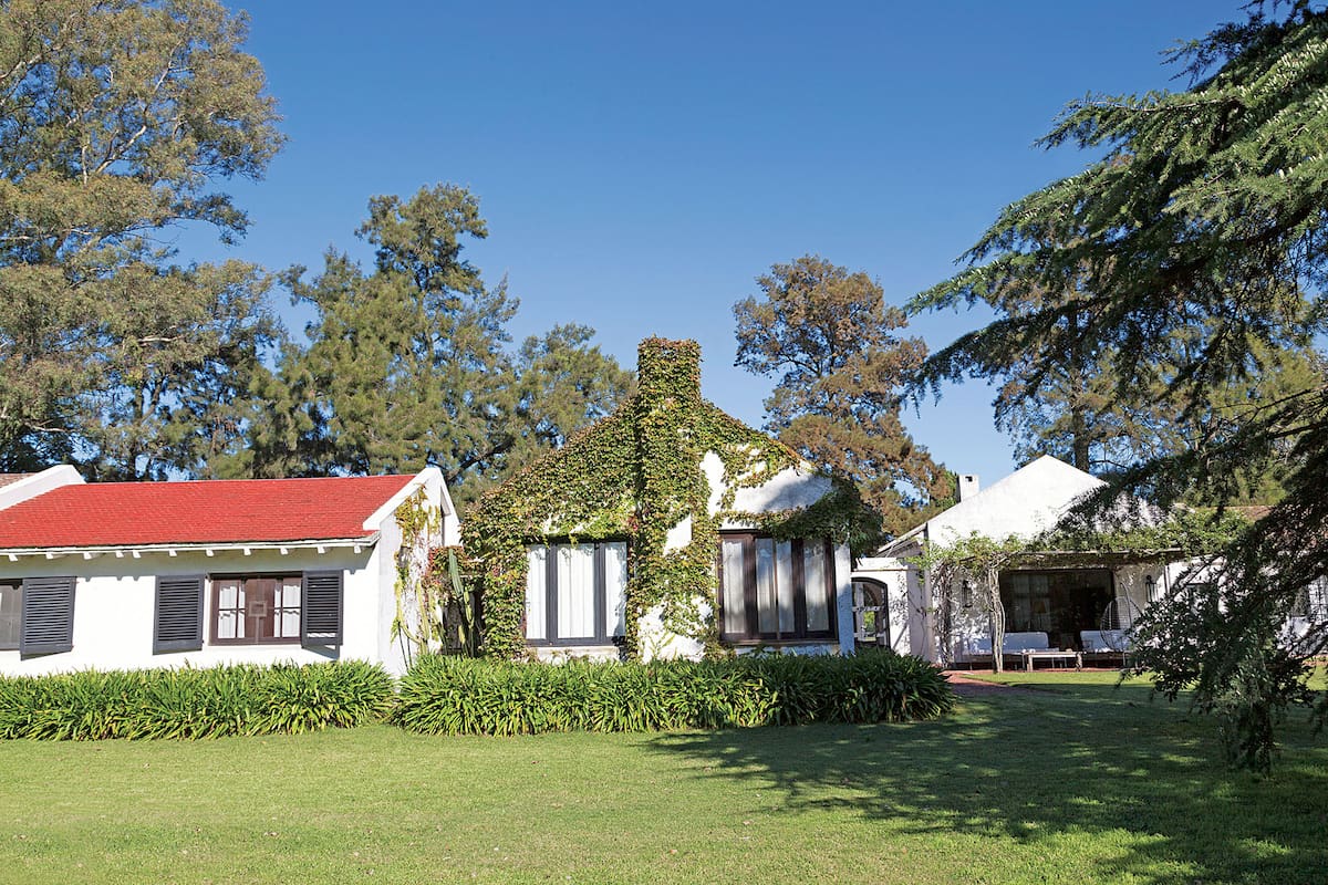 Foto de una casa con fachada cubierta por una enredadera.