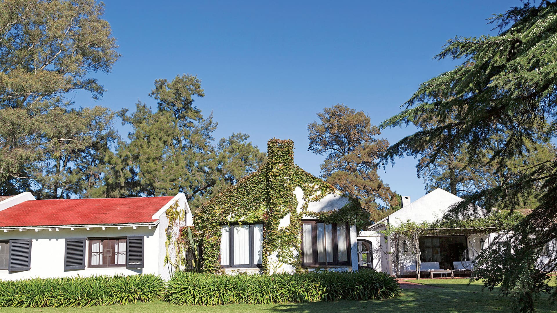Foto de una casa con fachada cubierta por una enredadera.