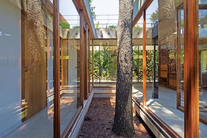 Asesorada por un arborista, la arquitecta proyectó una losa de hormigón sobre vigas invertidas para elevar la casa de modo que las raíces de las coníferas pudieran crecer sin perjudicar los pisos.
