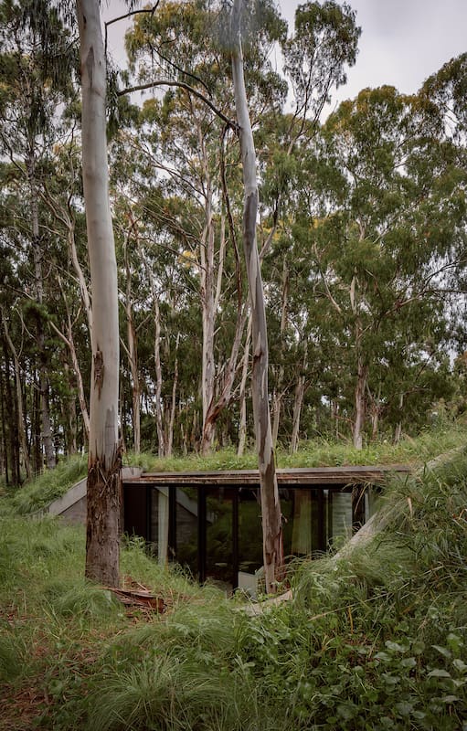 En Costa Esmeralda, esta casa semienterrada en una duna tiene grandes vistas al bosque desde adentro