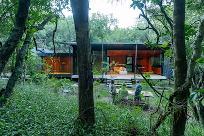 “Lo mágico que tiene esta casa es la incorporación del bosque”, dice Zayat. Para lograr este efecto, todas las aberturas se despliegan y quedan hacia un costado, fundiéndose con la vegetación.