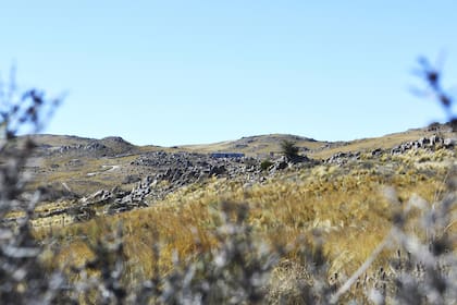 Pastizales, arbustos espinosos, piedras en La Cumbre.