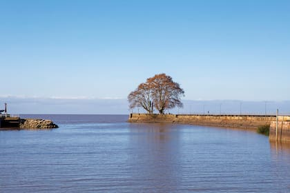 El muelle, hito indiscutido del paseo.