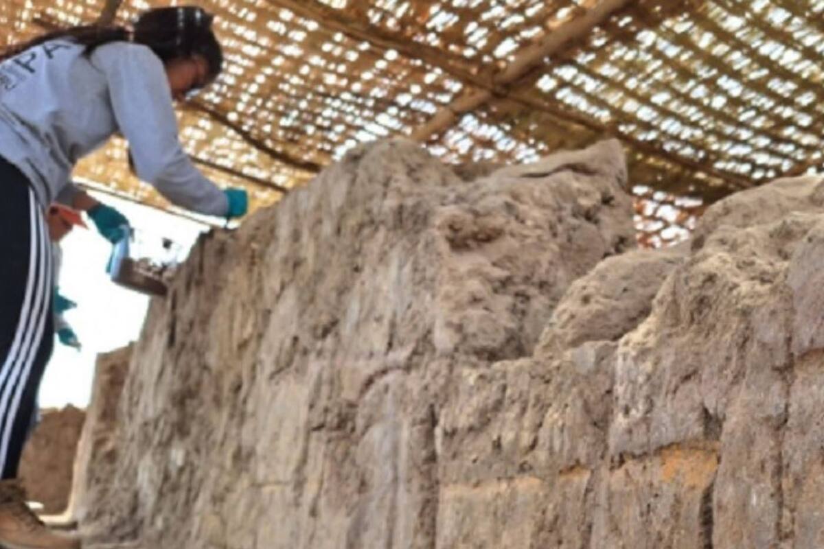 (Foto Facebook Asociación de Arqueólogos del Perú)