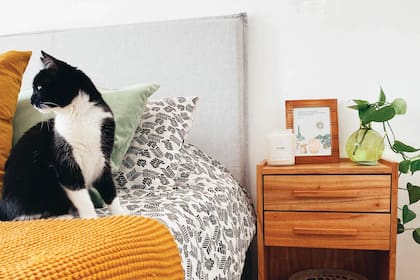 Foto gentileza de Lucía Gogenola