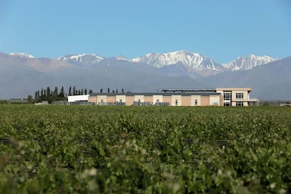 Foto gentileza Domaine Bousquet