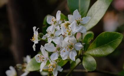 Foto: Jasmine Pang / Pexels