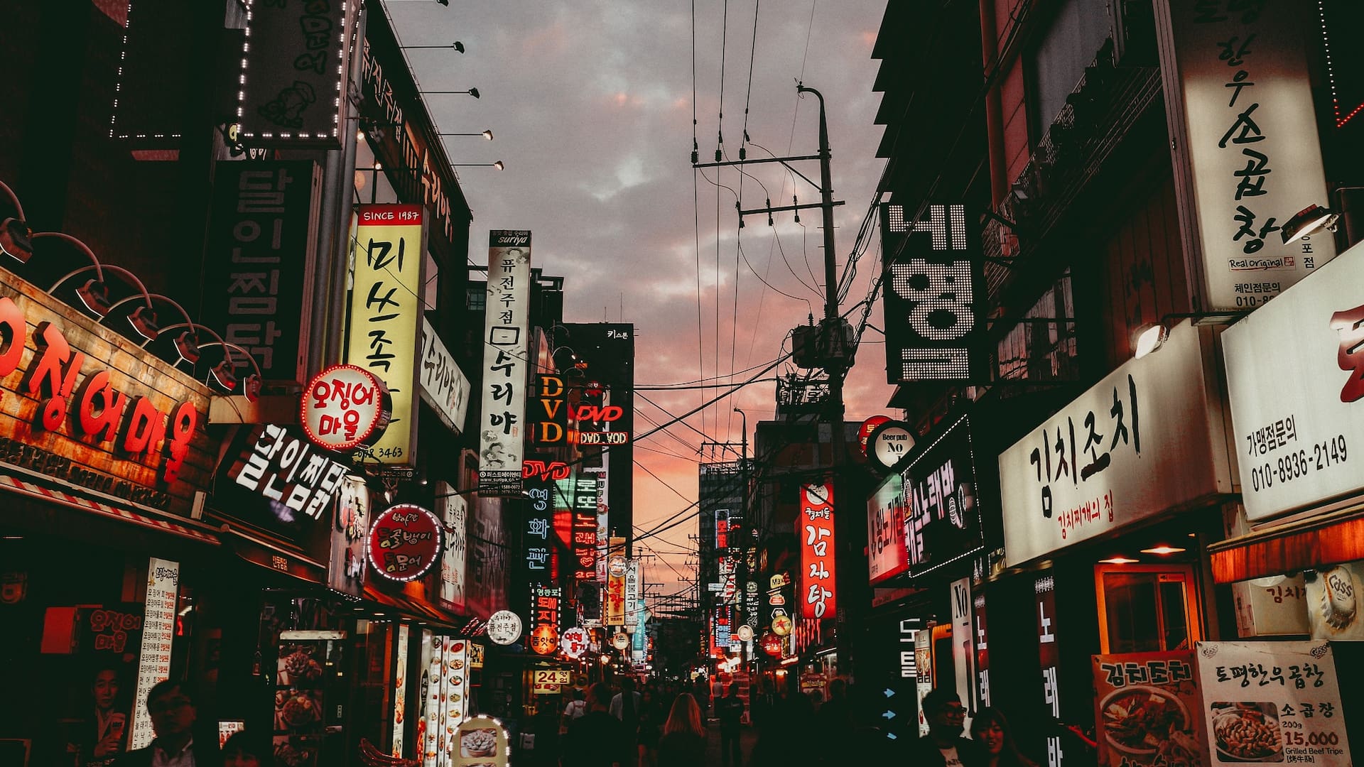 Foto: Sava Bobov. Fuente: Unsplash