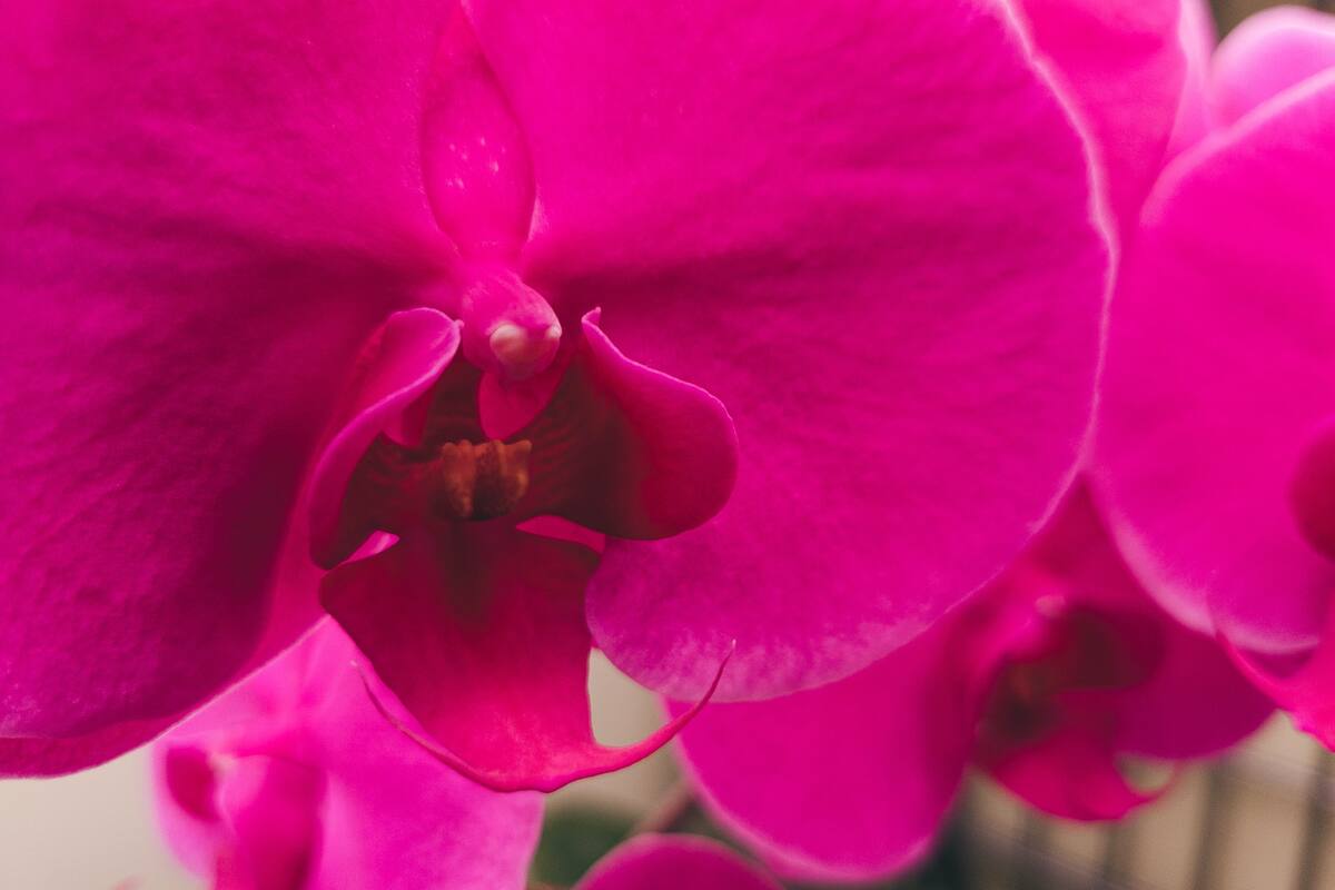 Foto: Timothy Dykes/Unsplash