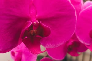 Foto: Timothy Dykes/Unsplash