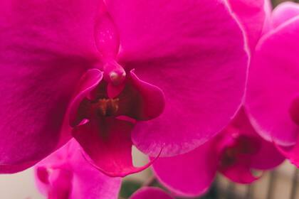 Foto: Timothy Dykes/Unsplash