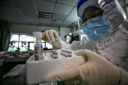 Foto tomada el 10 de marzo de 2020 muestra a un miembro del personal médico con muestras de pacientes infectados por el coronavirus COVID-19 antes de una prueba de ácido nucleico en el Hospital de la Cruz Roja en Wuhan, en la provincia central de Hubei en China.
