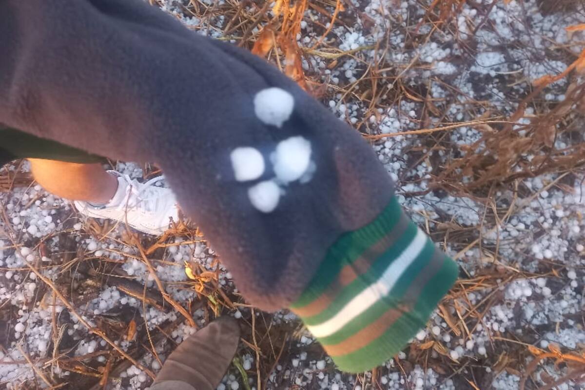 Foto tomada por el productor Leonardo Mateos