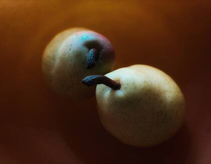 Fotografía de Hugo Kovadloff