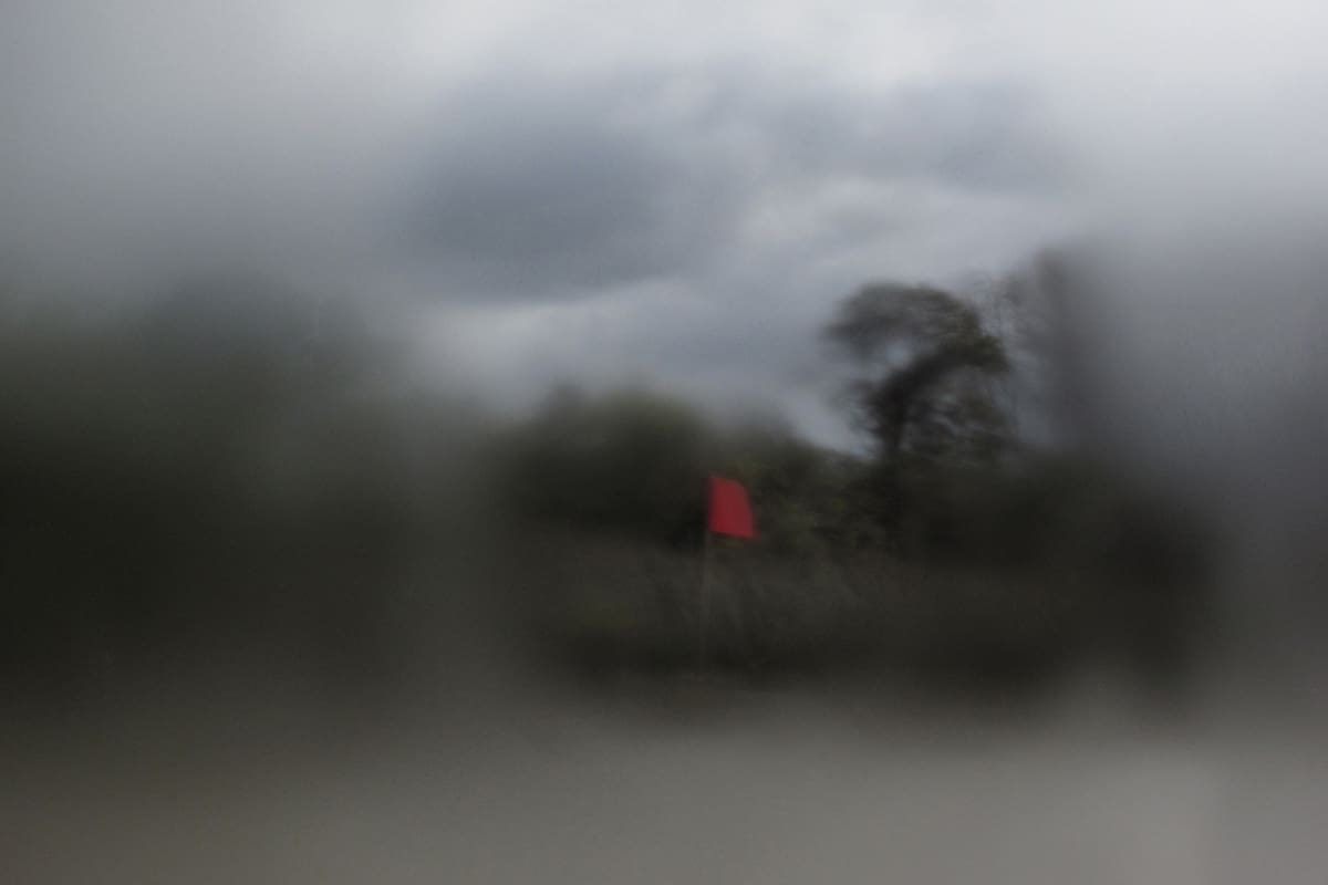 Galería Larreta tại Argentina tổ chức đấu giá nghệ thuật nhằm gây quỹ hỗ trợ cộng đồng dễ bị tổn thương (Ảnh: LA NACION).