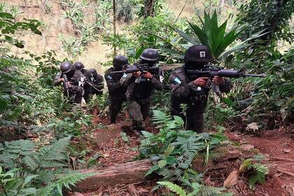Fotografía distribuida por la Policía Militar de Orden Público de Honduras (PMOP) que muestra a miembros de la PMOP durante un operativo en una plantación de coca, en jurisdicción de Catacamas, departamento de Olancho, al nordeste de Tegucigalpa, el 12 de marzo de 2023. (Honduran Public Order Military Police / AFP)
