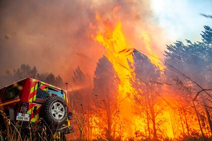 Fotografía facilitada por la brigada antiincendios SDIS 33 muestra las llamas consumiendo árboles cerca de Landiras, en el suroeste de Francia, el sábado 16 de julio de 2022. (SDIS 33 vía AP)